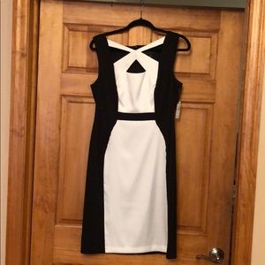 NWT Dress Barn dress size 12